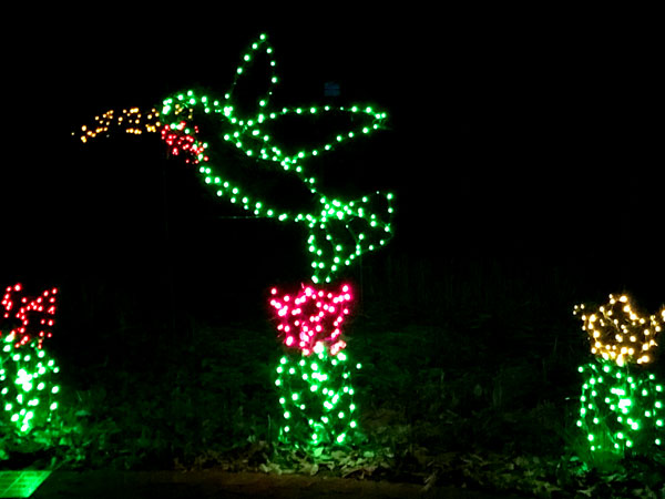 Christmas lights at Daniel Stowe Botanical Gardens